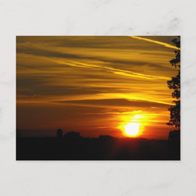 Carte Postale Brilliant Glow Postcard (Devant)