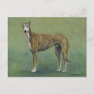 Carte postale "Brindle Greyhound"