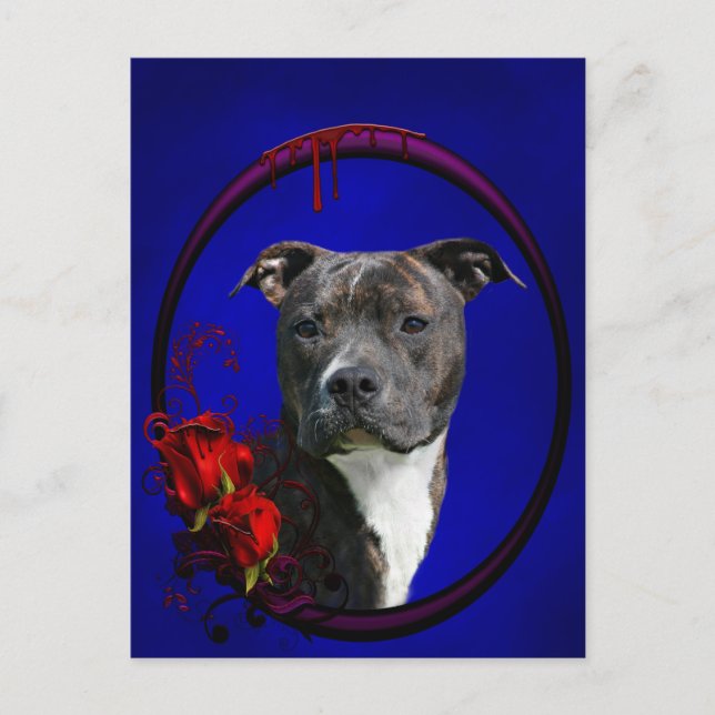 Carte Postale Brindle pitbull avec rose (Devant)
