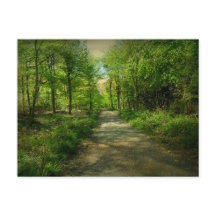 Bristol Avon Forest au printemps.