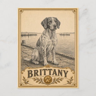Carte Postale Brittany, Chien du Patrimoine Vintage