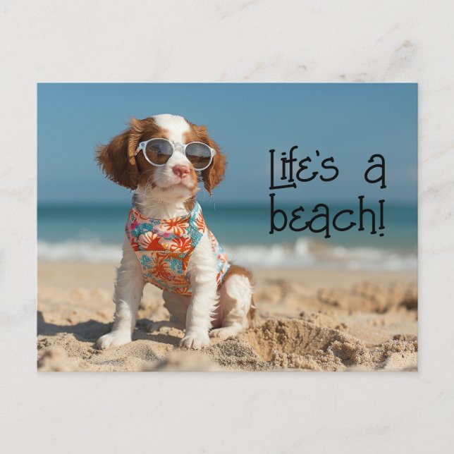 Carte Postale Brittany Spaniel Puppy portant des lunettes de sol (Devant)