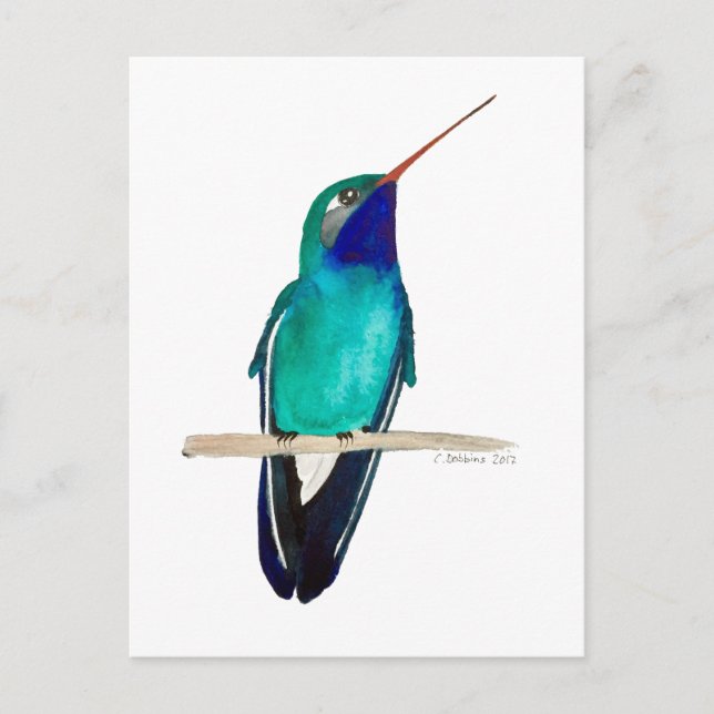 Carte Postale Broad-billed Hummingbird (Devant)