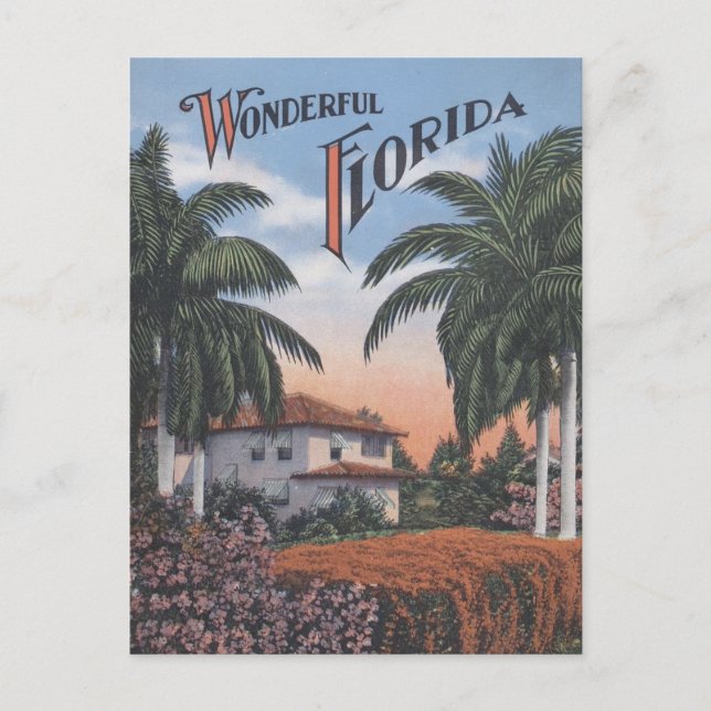Carte Postale Brochure vintage Floride (Devant)