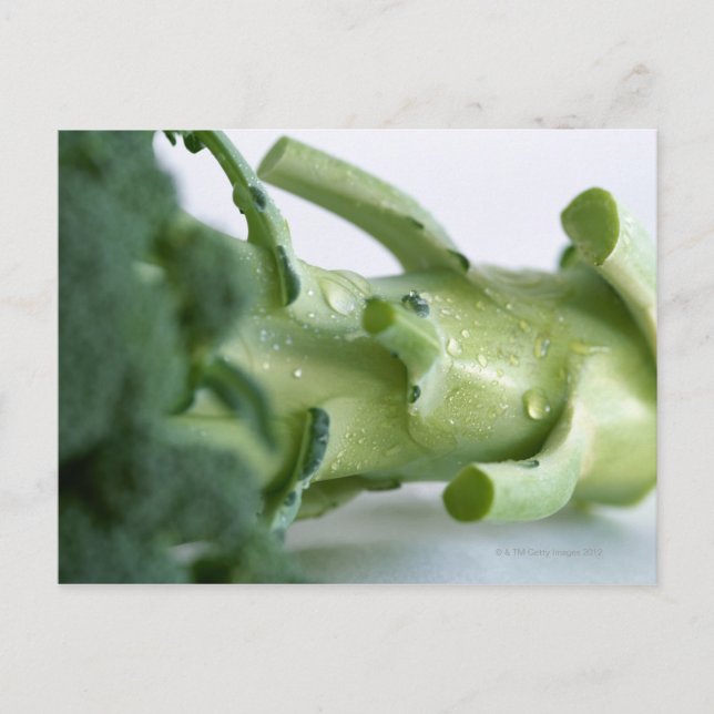 Carte Postale Brocoli (Devant)