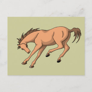 Carte Postale Bronco