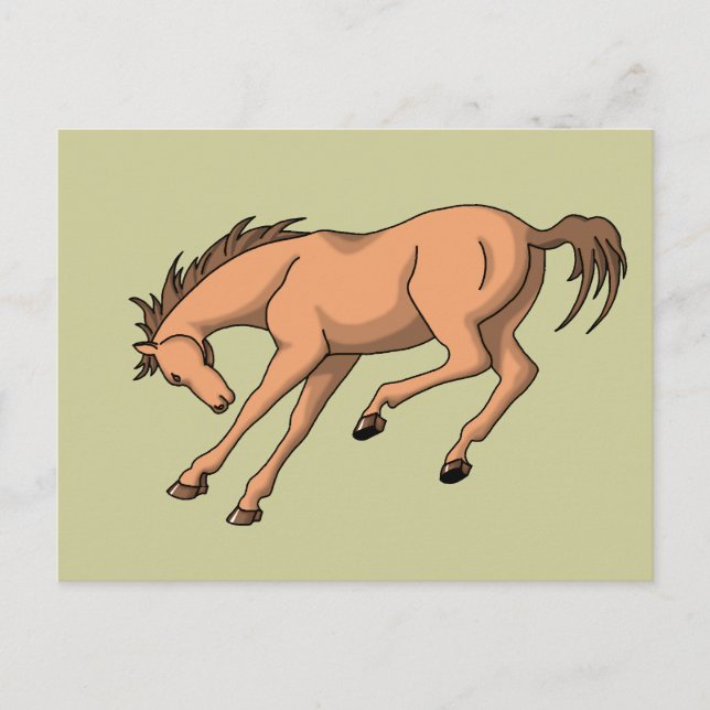 Carte Postale Bronco (Devant)