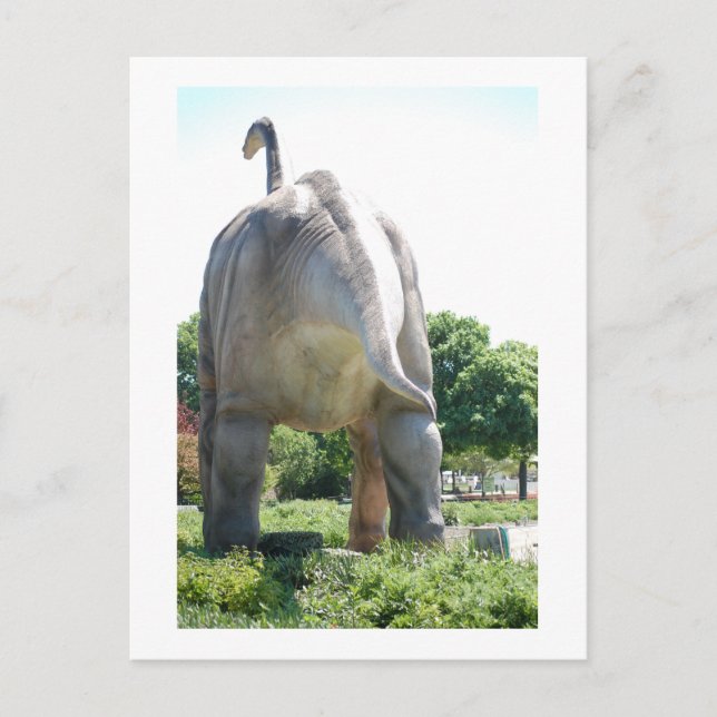 Carte Postale Brontosaurus dinosaure (Devant)