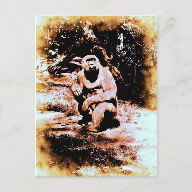 Carte Postale Bronx Gorilla (Devant)