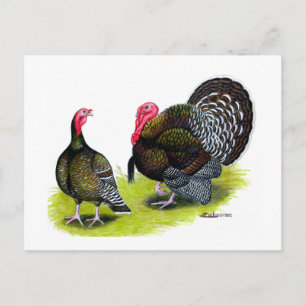 Carte Postale Bronze large de Turquie