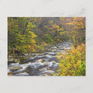 Carte Postale Brook à l'automne dans Vermont's Green 2