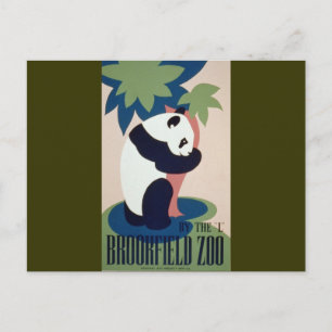 Carte Postale Brookfield Zoo Panda