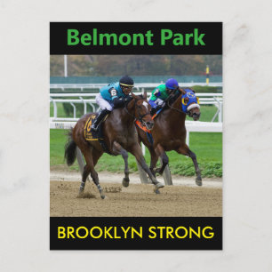 Carte Postale Brooklyn Strong - Orbe d'aigle