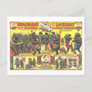 Carte Postale Bros à sonneries. Eléphants comédiens Circus Ad
