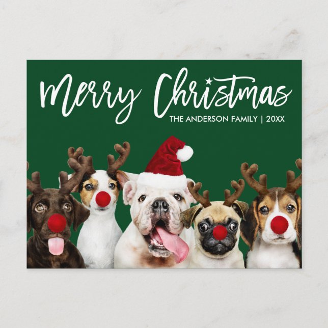Carte Postale Brosse Script Star Joyeux Chiens de Noël Vert (Devant)