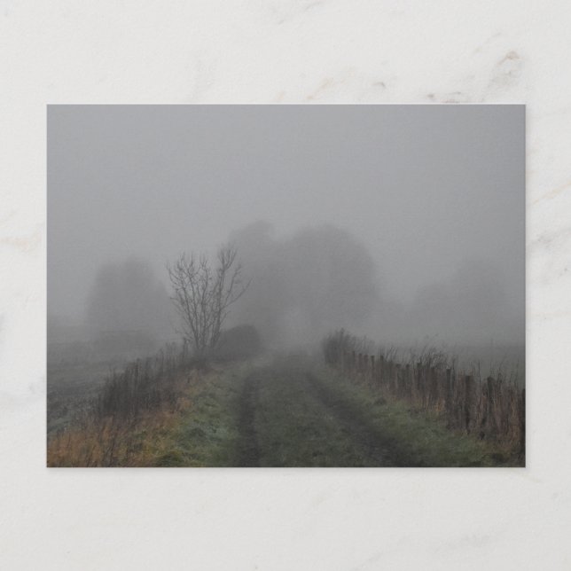 Carte Postale brouillard (Devant)