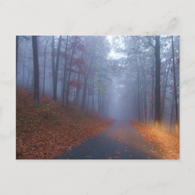 Carte Postale Brouillard d'automne (Devant)