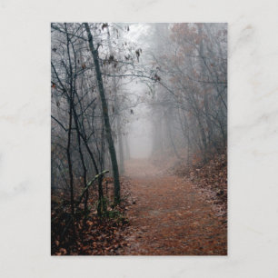 Carte Postale Brouillard d'hiver - Pas de fin en vue sur les cad