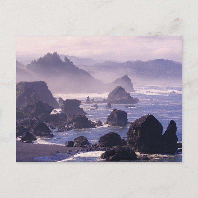 Carte Postale Brouillard matinal le long de la côte de l'Oregon  (Devant)