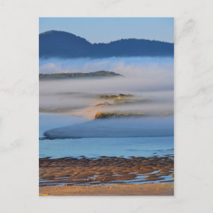 Carte Postale Brouillard matinal sur la baie de Netarts, OR
