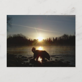Carte Postale Brouillard sur la rivière Mississippi