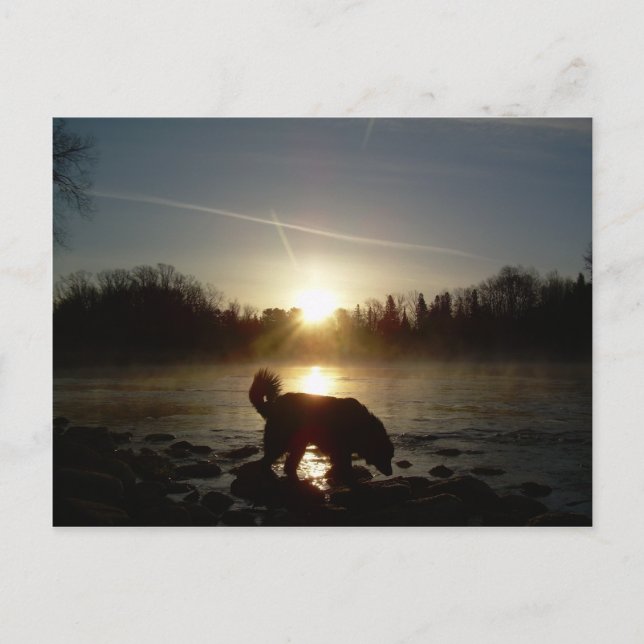 Carte Postale Brouillard sur la rivière Mississippi (Devant)