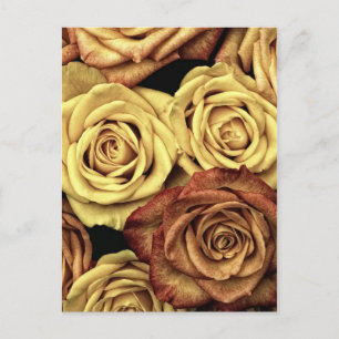 Carte postale Brown et jaune