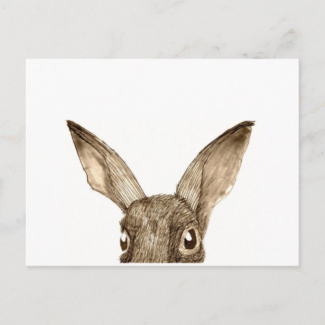 Carte postale Brown Hare II (Devant)