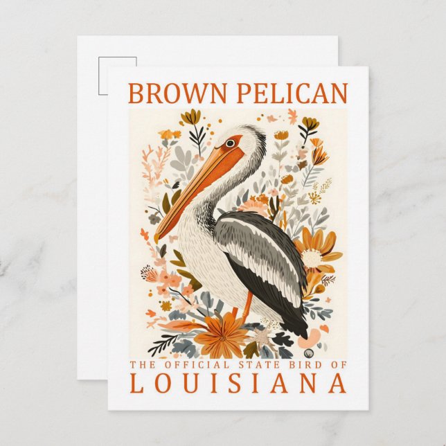 Carte Postale Brown Pélican Bird Louisiana USA Travel (Devant / Derrière)