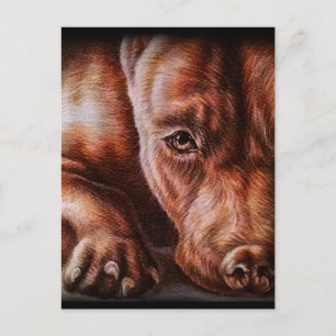 Carte Postale Brown pitbull face drawing of pet portrait dog