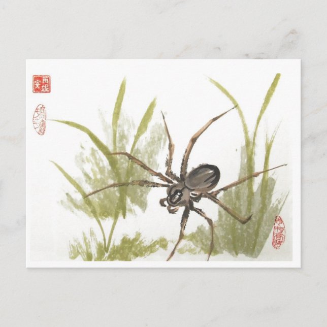 Carte Postale Brown Recluse Spider sur blanc (Devant)