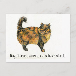 Carte Postale Brown Tabby Cat Postcard