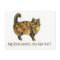Brown Tabby Cat Postcard