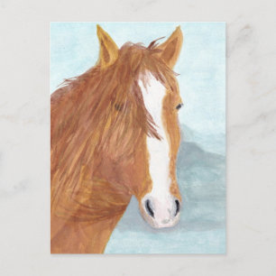 Carte Postale Brown Wild Horse Blue Mountain Lake - acrylique.