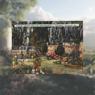 Carte Postale Brownie Gardens Wormsloe Savannah GA rétro