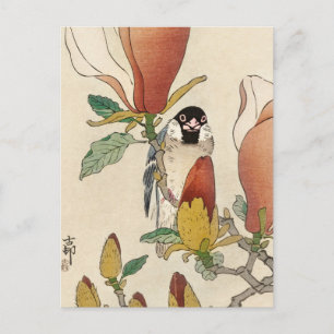 Carte Postale Bruant sur la branche de Magnolia en fleurs par Oh