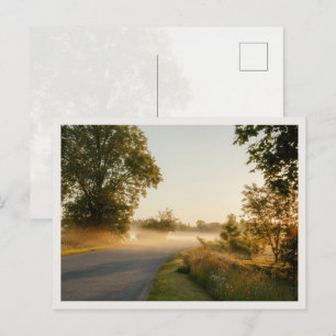 Carte Postale Brume matinale dorée Route de campagne