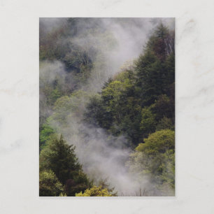 Carte Postale Brume s'élevant du flanc de la montagne après la p