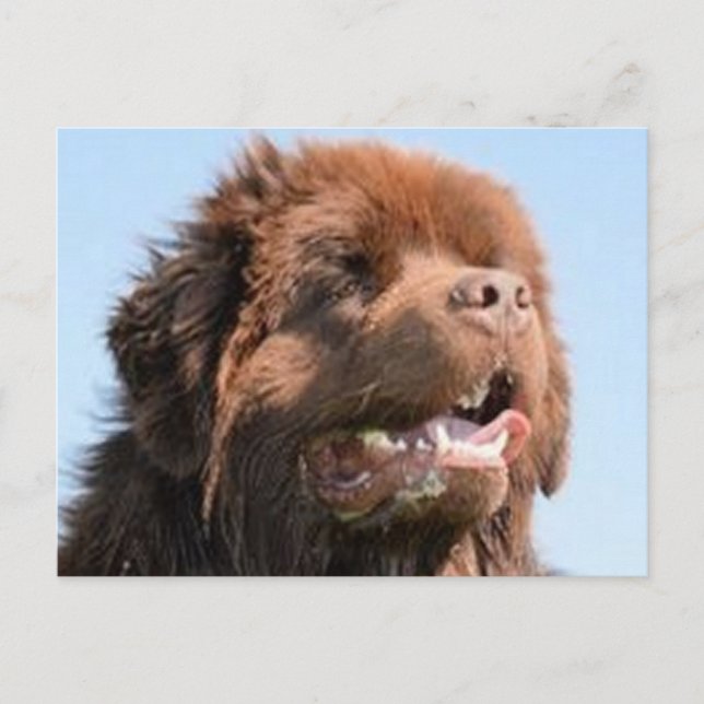 Carte Postale brun nouveau.png (Devant)