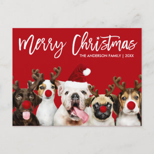 Carte Postale Brush Script Star Joyeux Chiens de Noël Rouge