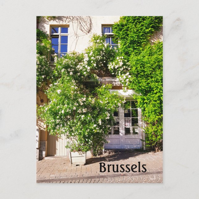Carte Postale Bruxelles Belgique (Devant)