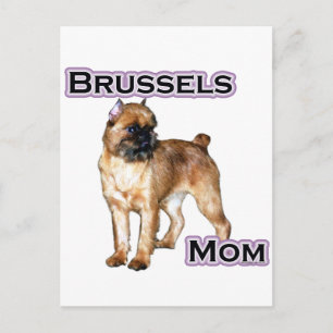 Carte Postale Bruxelles Griffon Maman; Maman de Bruxelles Griffo