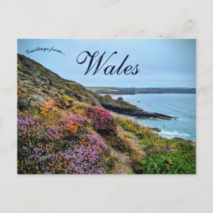 Carte Postale Bruyère dans le Pembrokeshire au Pays de Galles