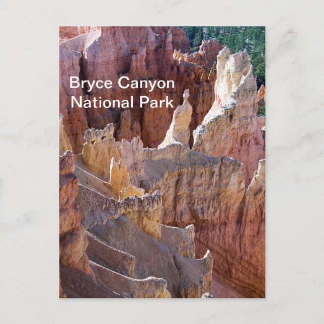 Carte Postale Bryce Canyon (Devant)