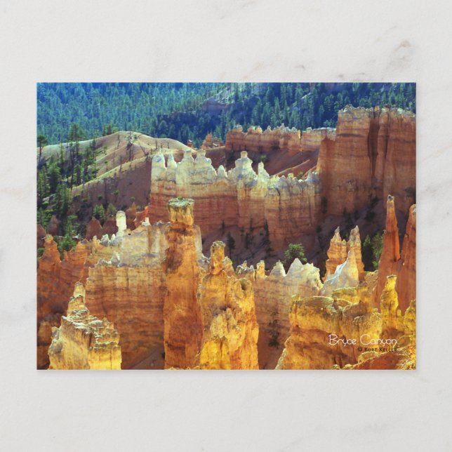 Carte Postale Bryce Canyon (Devant)