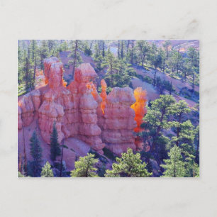 Carte Postale Bryce Canyon brillant
