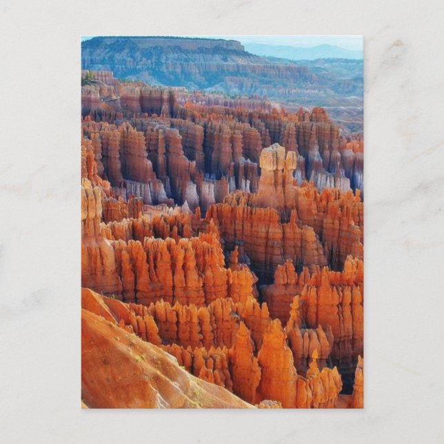 Carte Postale Bryce Canyon Hoodoos (Devant)