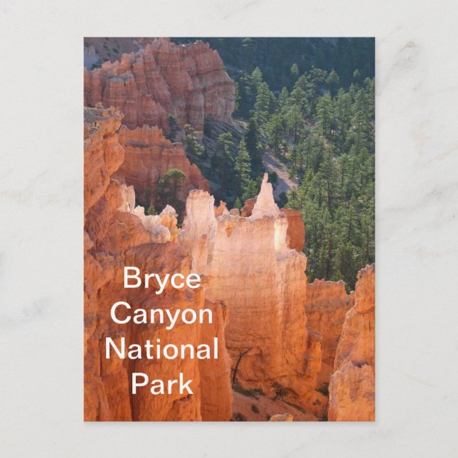 Carte Postale Bryce Canyon National Park Delicy Hoodoos (Devant)