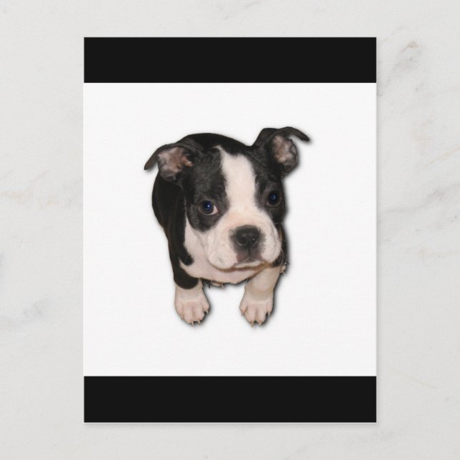 Carte Postale BTpup (Devant)