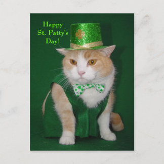 Carte Postale Bubba Kitty